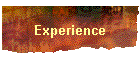 Experience