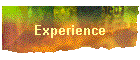 Experience